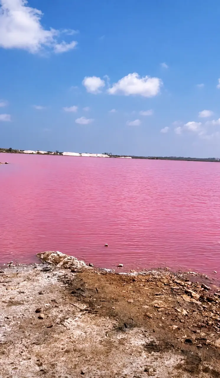 Pink lake Laguna Salada in Torrevieja on the Costa Blanca with distinctive pink salt water